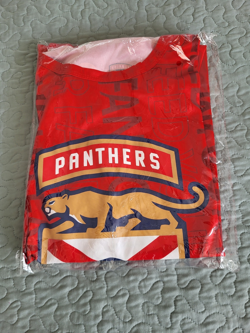 Panthers Red Kids' Graphic Tee